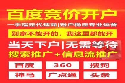 百度竞价运营的挑战与机遇：成功案例探讨